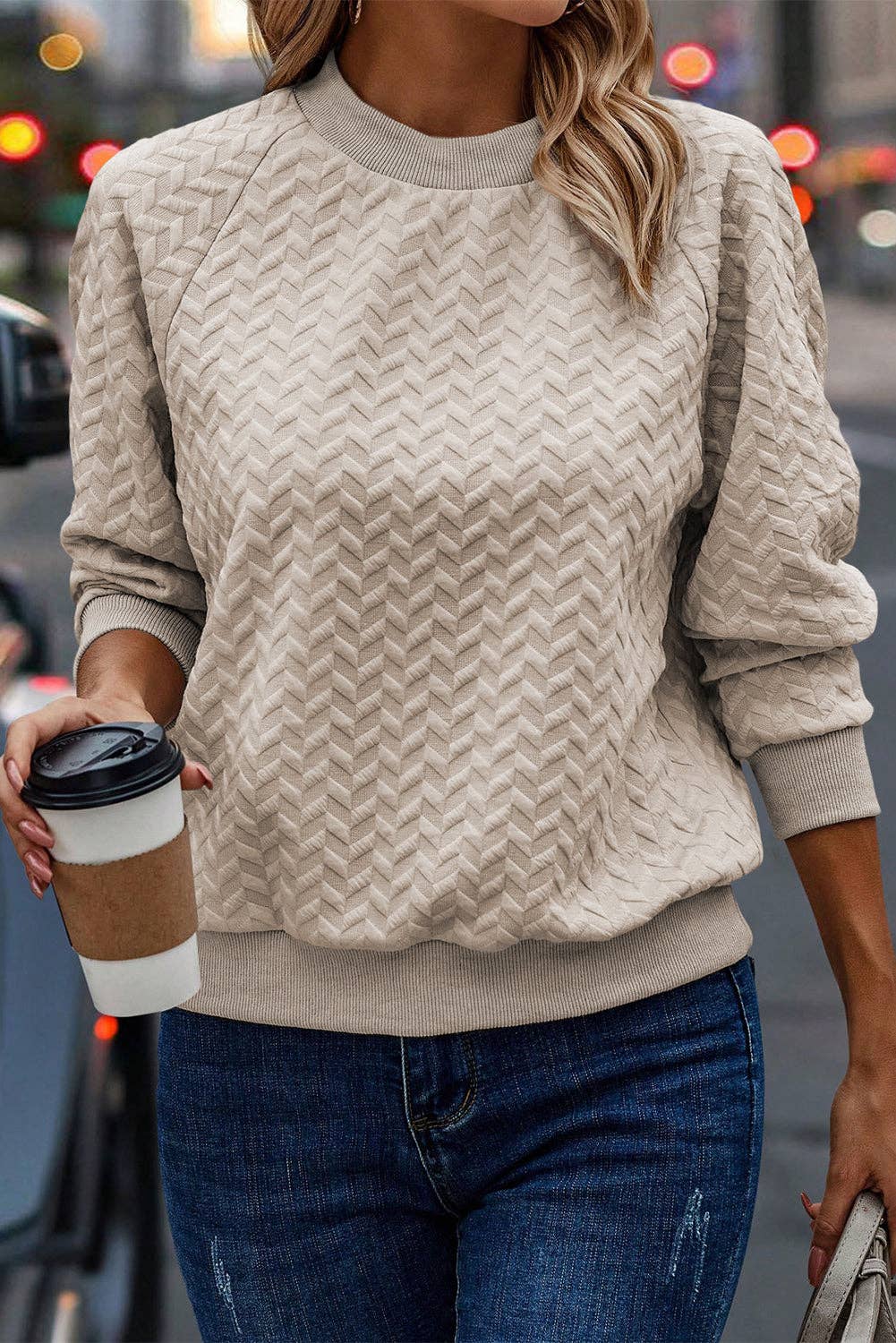 Textured Pullover Sweatshirt Sweater