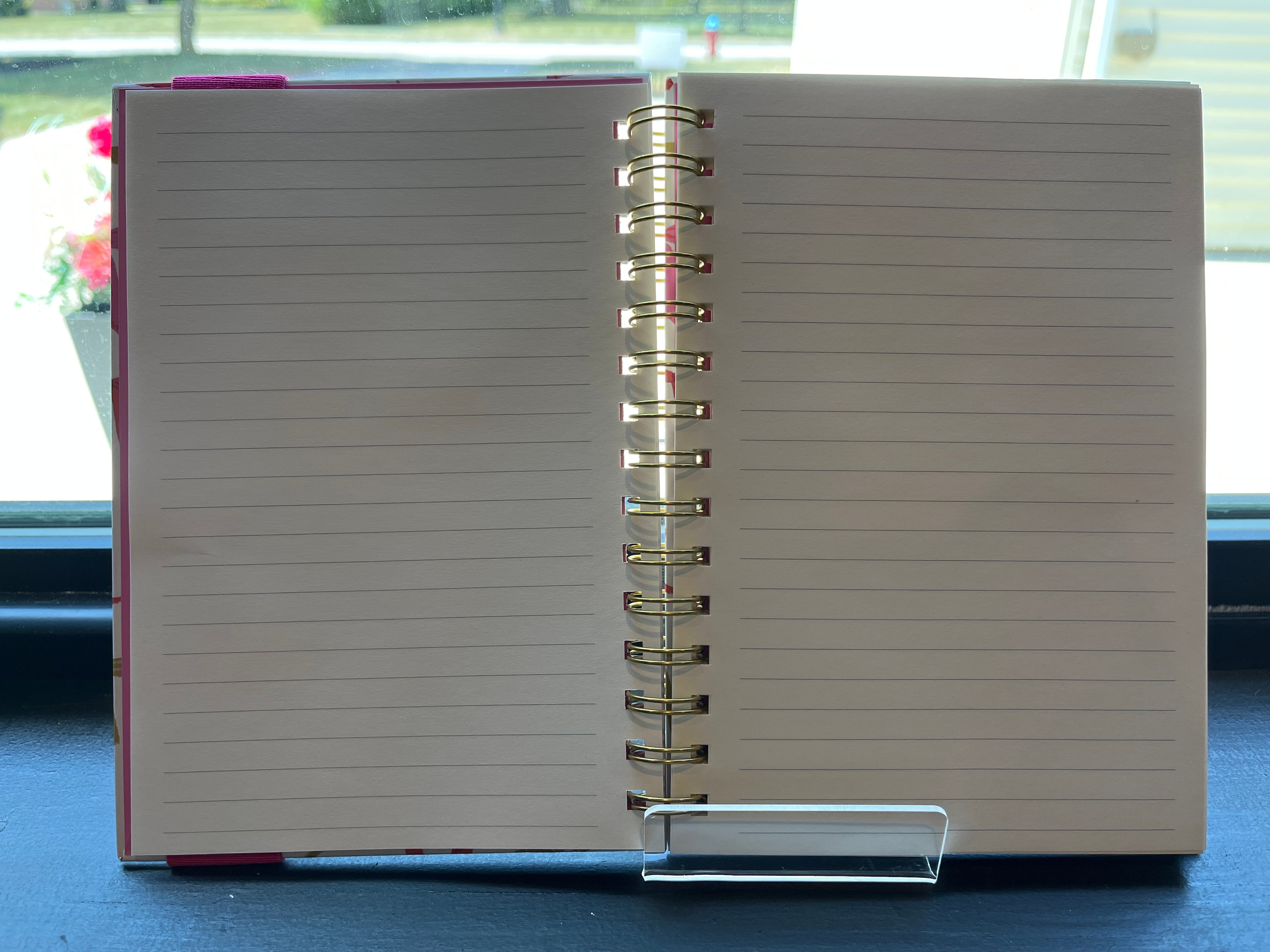 Succulent Paradise Notebook