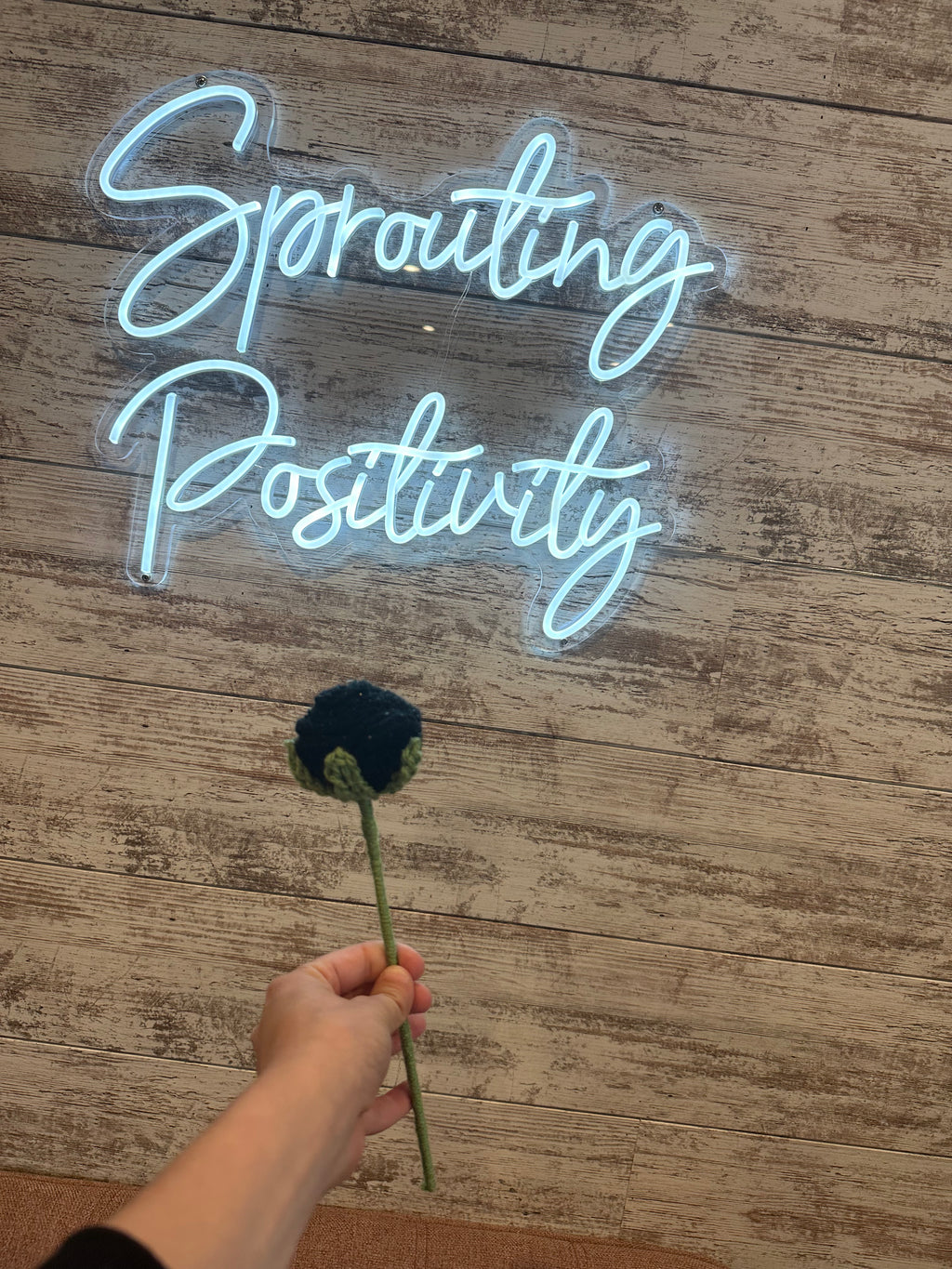 Hand Crocheted Roses