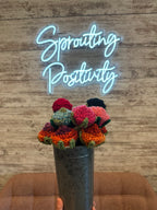 Hand Crocheted Roses