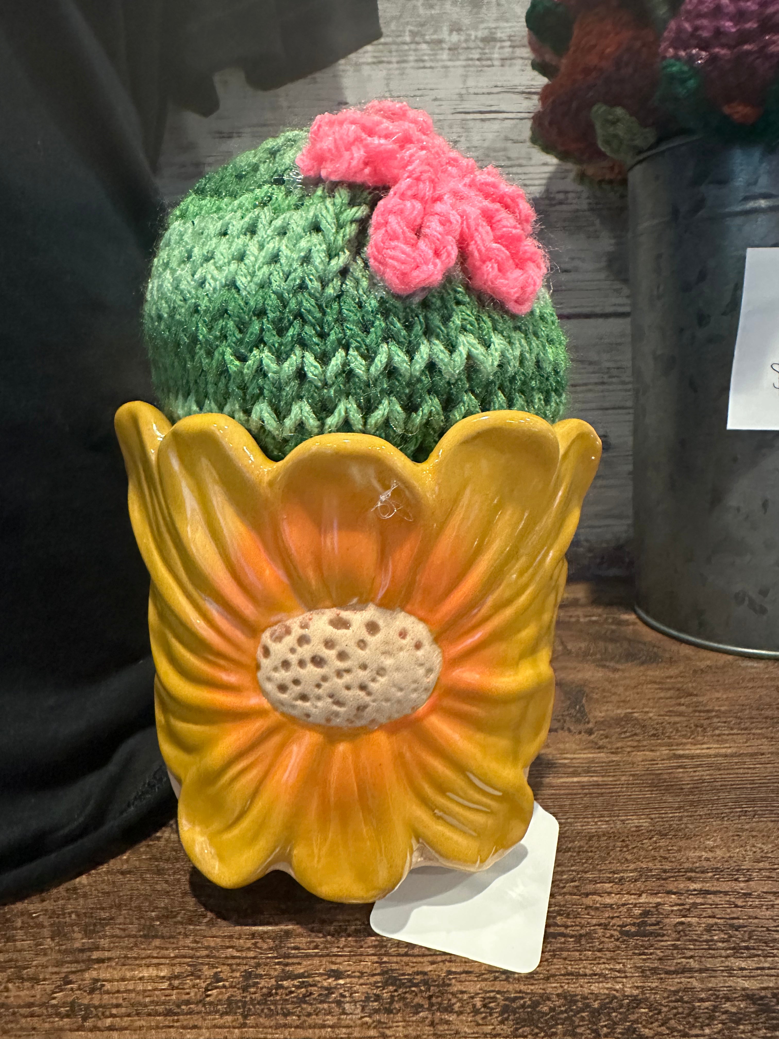 Pink Flowered Succulent