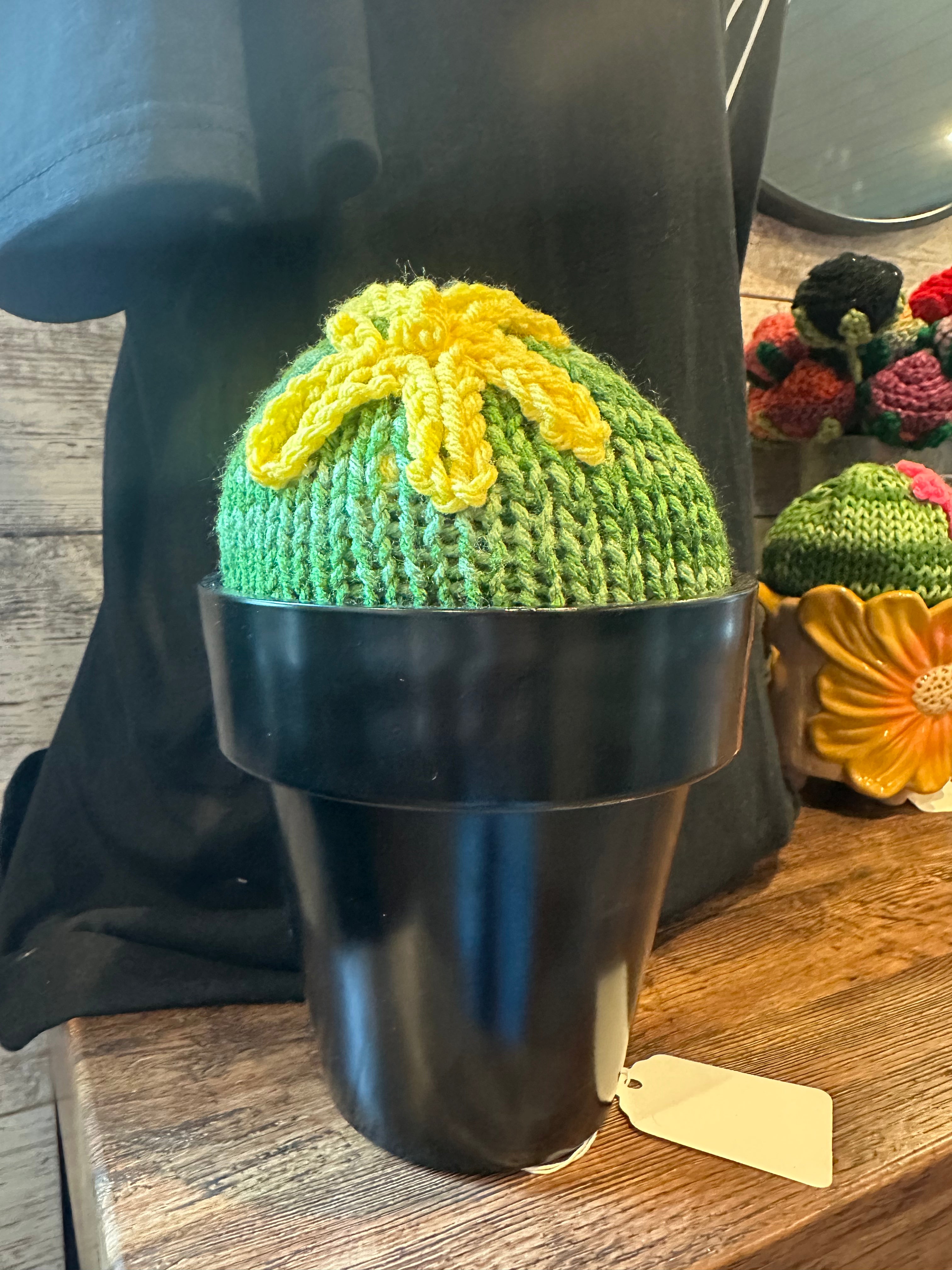 Yellow Flower Succulent