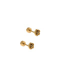 Pair of gold earrings on a white background